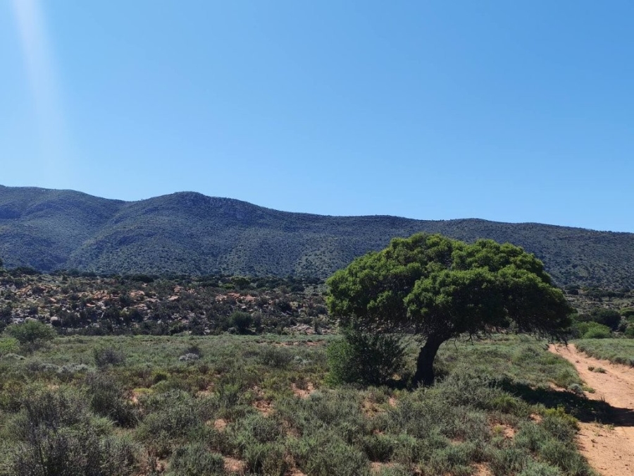 5 Bedroom Property for Sale in Steytlerville Eastern Cape